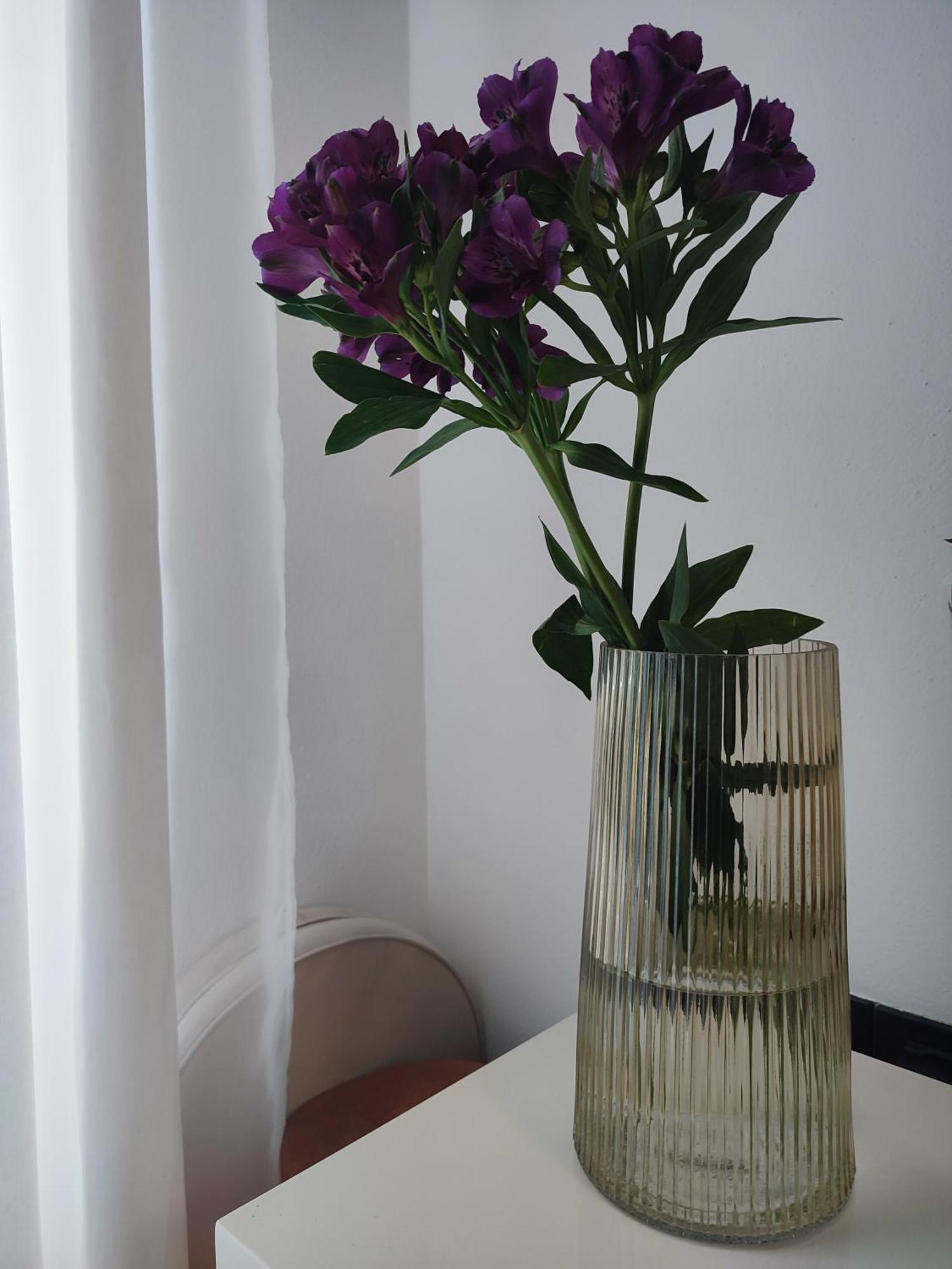 Apartman Tera Apartment Dobrec Ngoại thất bức ảnh